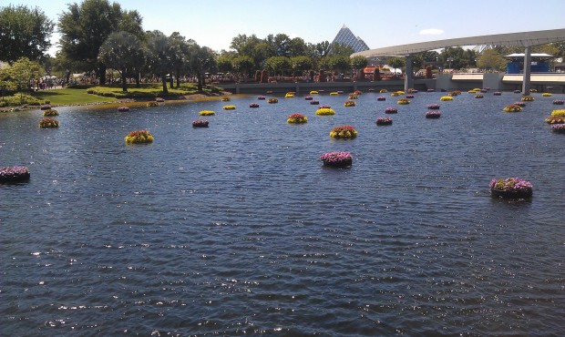 A decent picture of the flower beds.  Where is a monorail when you need it.