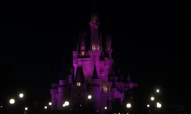 A random Cinderella Castle picture as I walked by.