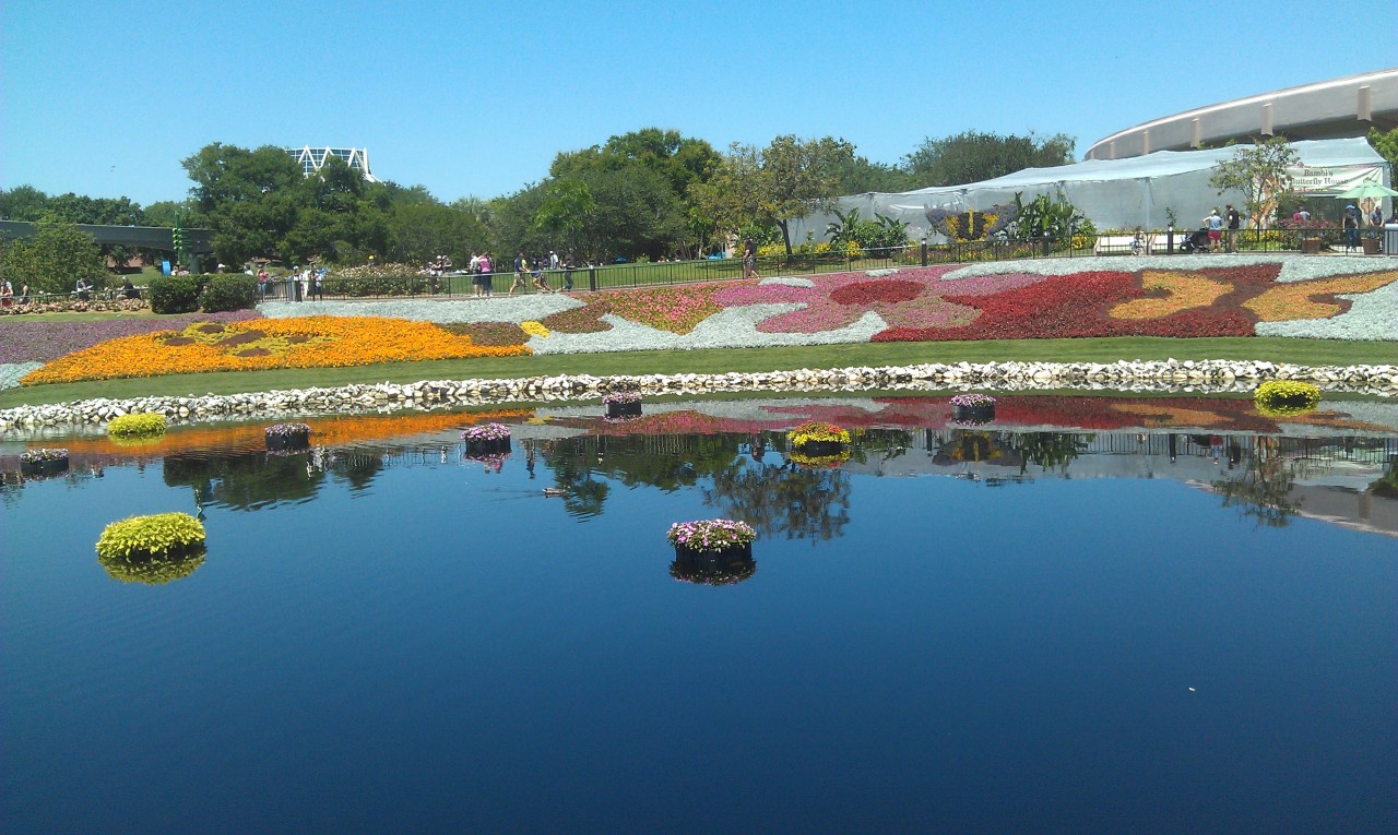 A wide shot of some of the flower beds at EPCOT