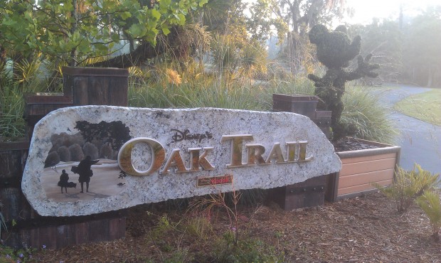Back to Oak Trail this morning.