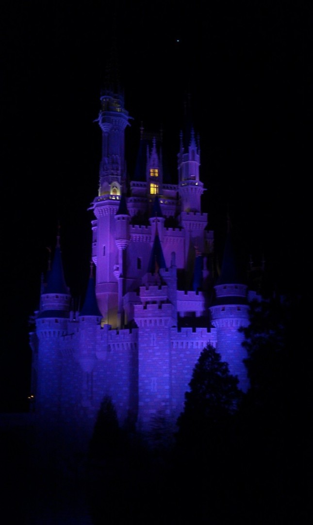 Cinderella Castle