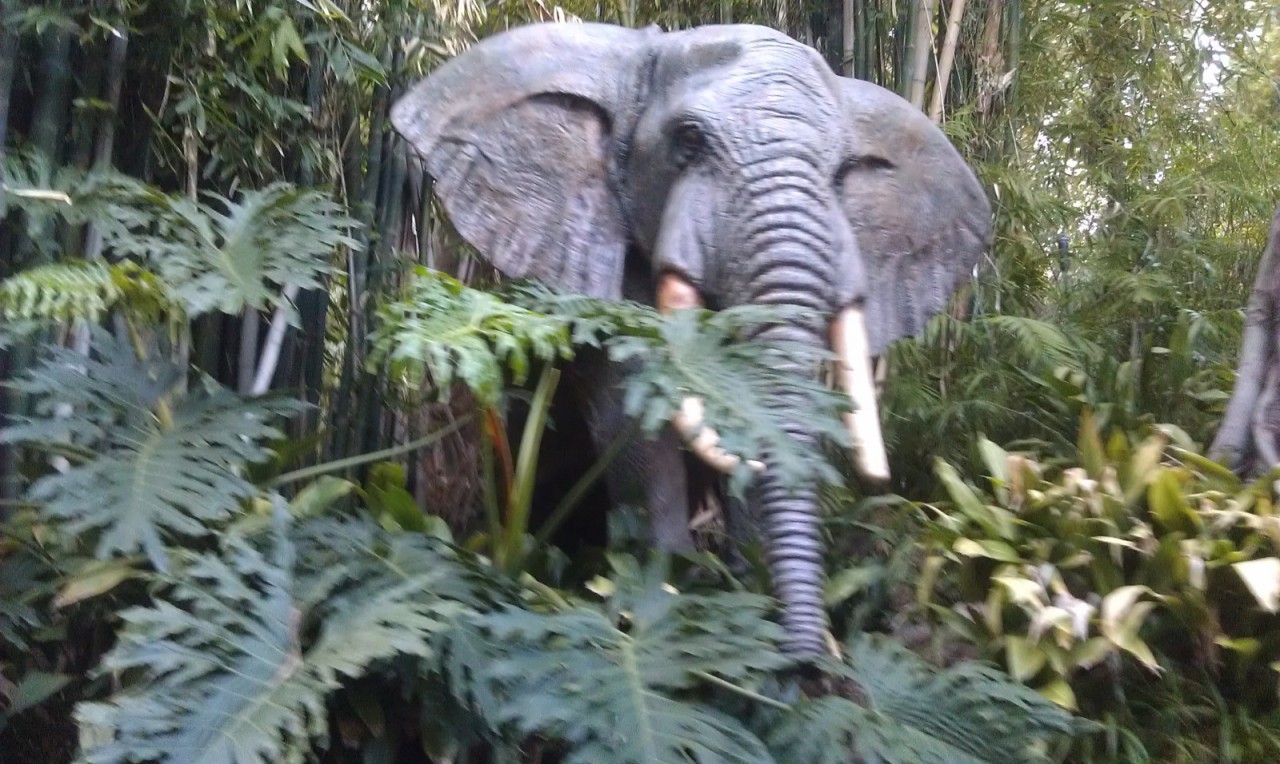 Even with the park crowded you can still luck out. Went on the Jungle Cruise and only had to wait 1 boat.