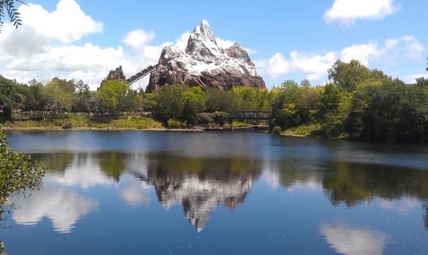Expedition Everest from across the Flame Tree BBQ seating area.