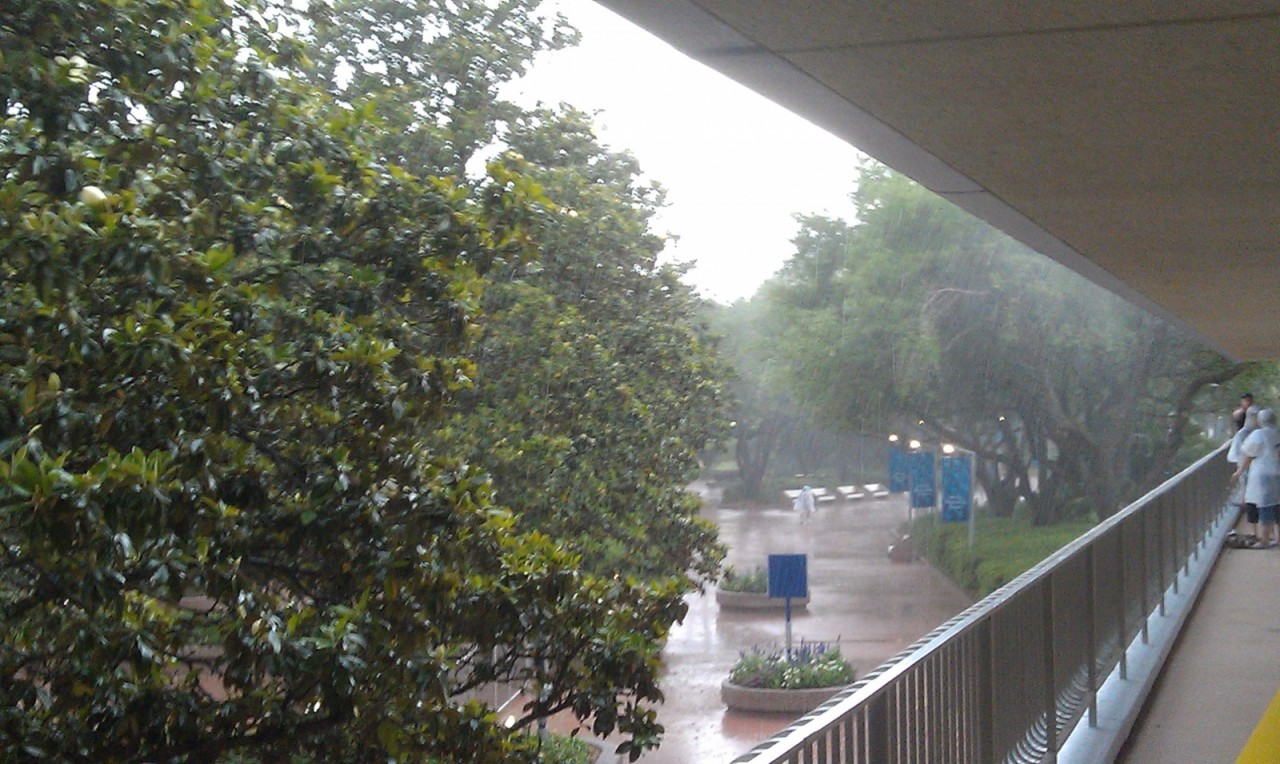 Good old afternoon thunderstorm. Almost made it to EPCOT...