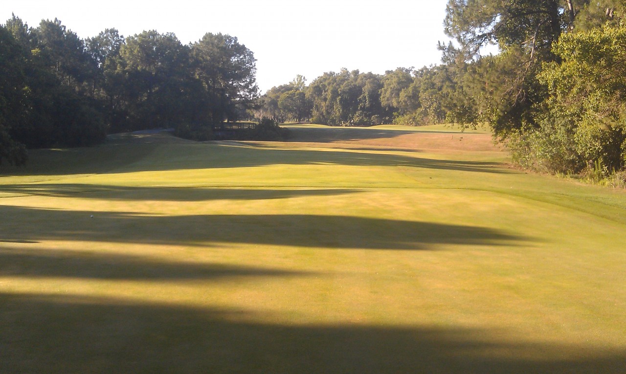 Looking back from number 6 green