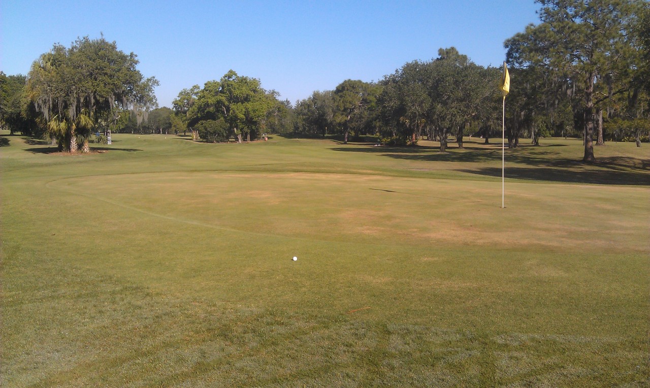 My best shot of the day was the tee shot on 9. Two putted from there for my only par of the day.