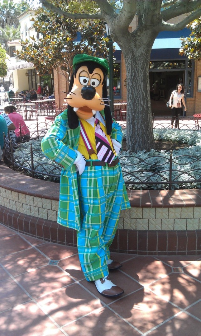 Goofy on BuenaVistaStreet