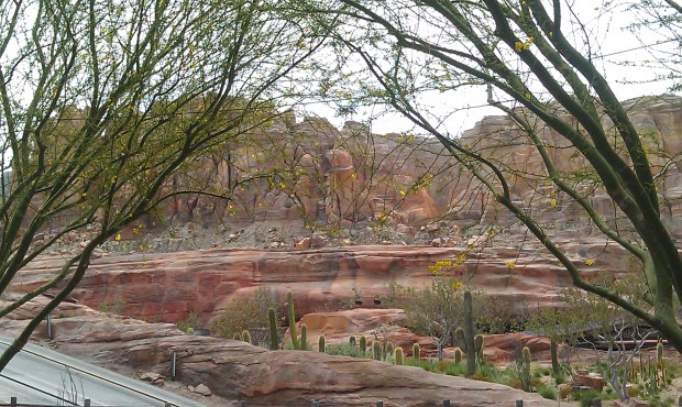 A great view while eating lunch in #CarsLand