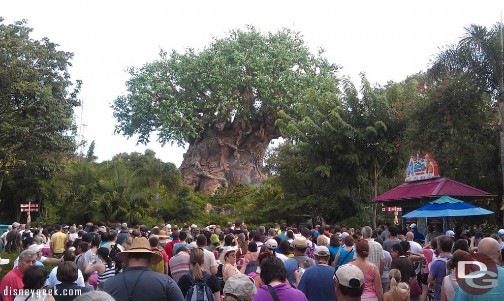 At Animal Kingdom this morning. No more opening event.