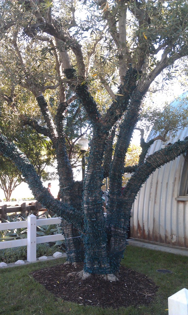 Christmas is arriving in #CarsLand.  This tree by Sarges is wrapped in lights.
