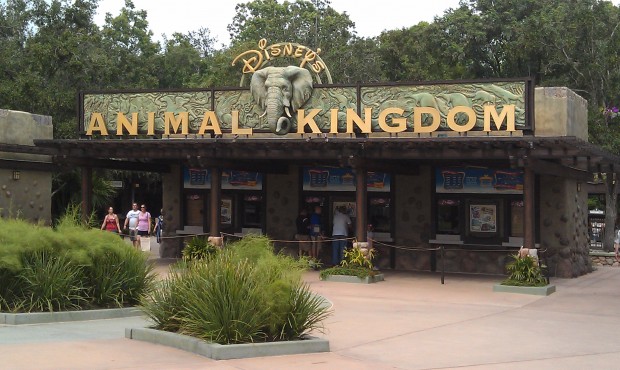 First park today.  Animal Kingdom