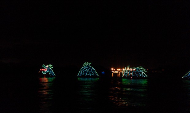 The Electrical Water Pageant passing by