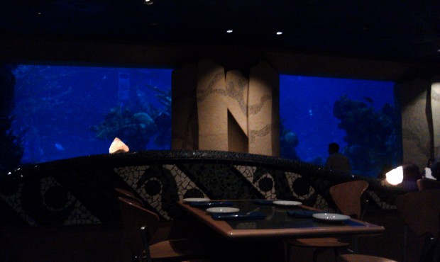 The view from our table at Coral Reef