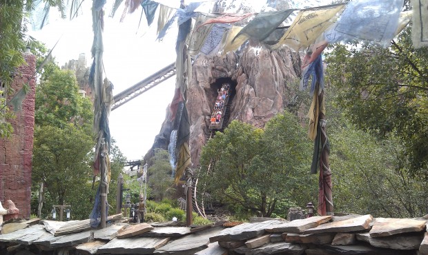 Walked by Expedition Everest