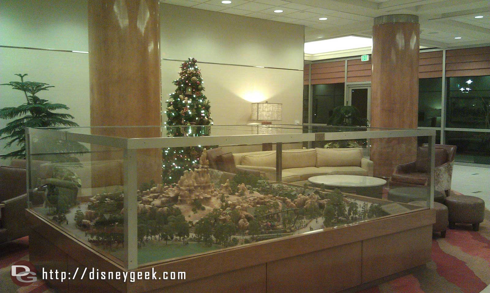 A small tree in the Frontier Tower of the Disneyland Hotel