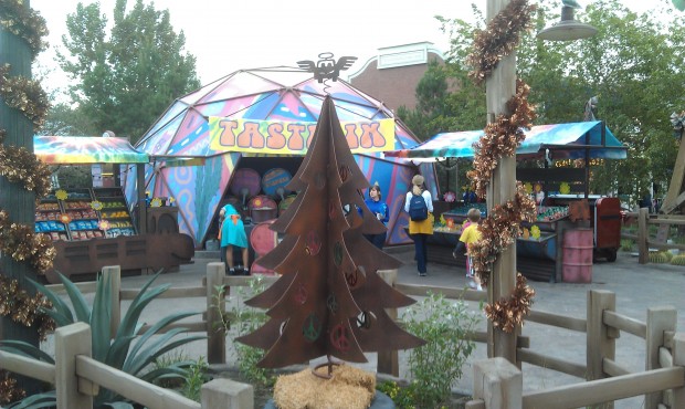 Fillmores tree in #CarsLand