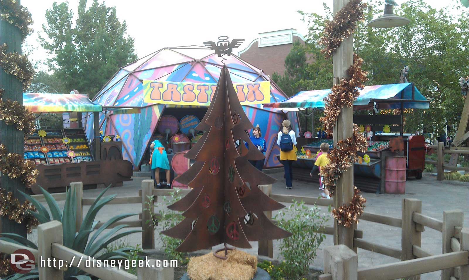 Fillmores tree in CarsLand