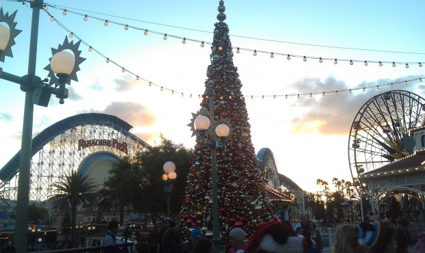 The Paradise Pier tree