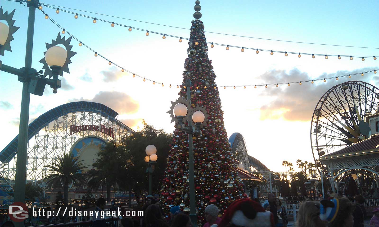 The Paradise Pier tree