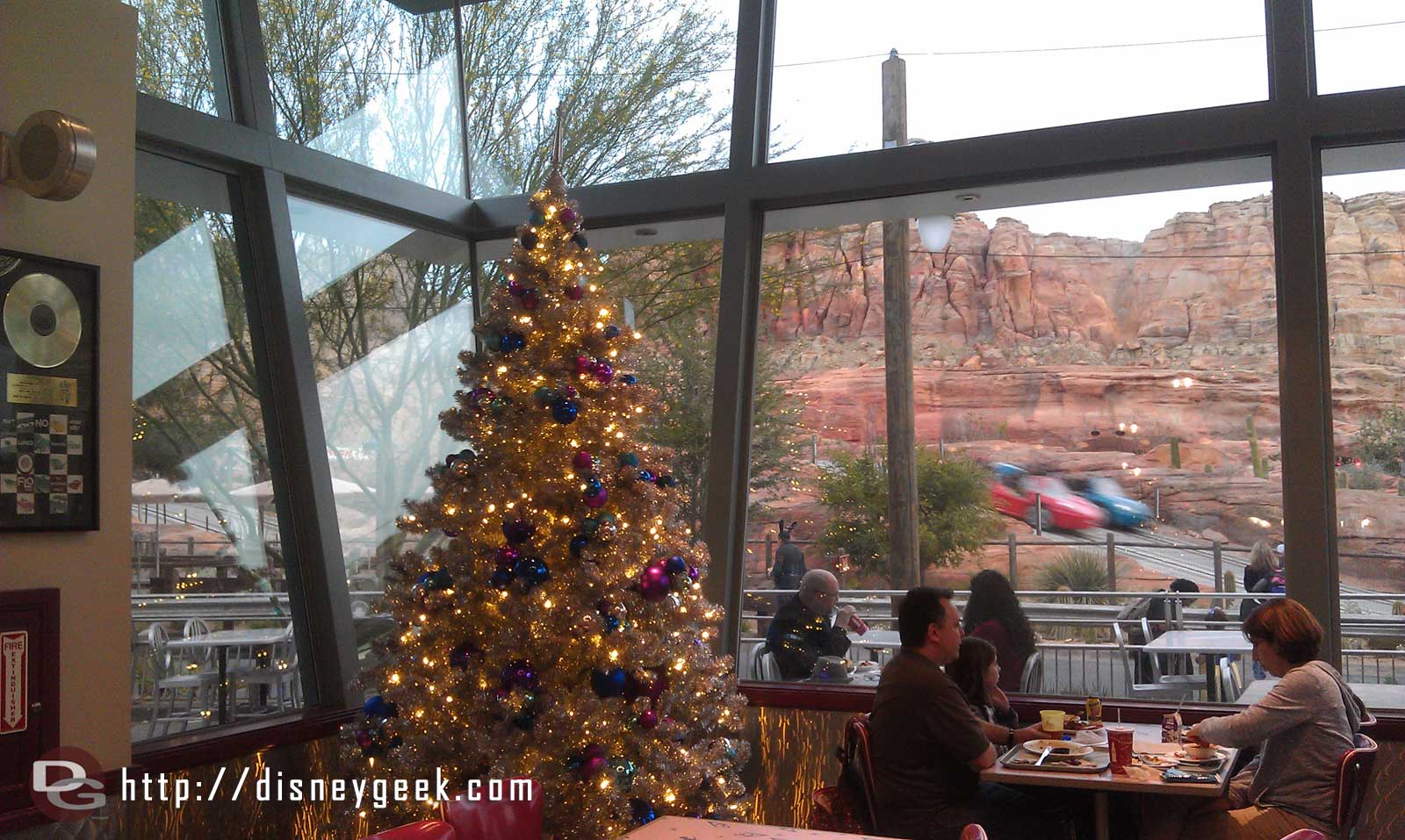 There are several trees in Flos. Here is one in the dining room that looks out to the Racers