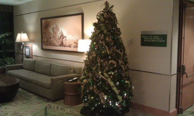To round out my lobby tour, the small tree in the Adventure Tower lobby.