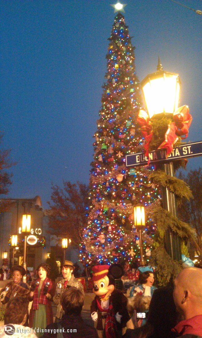 The tree lighting on BuenaVistaStreet