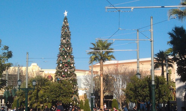 The Christmas tree on #BuenaVistaStreet
