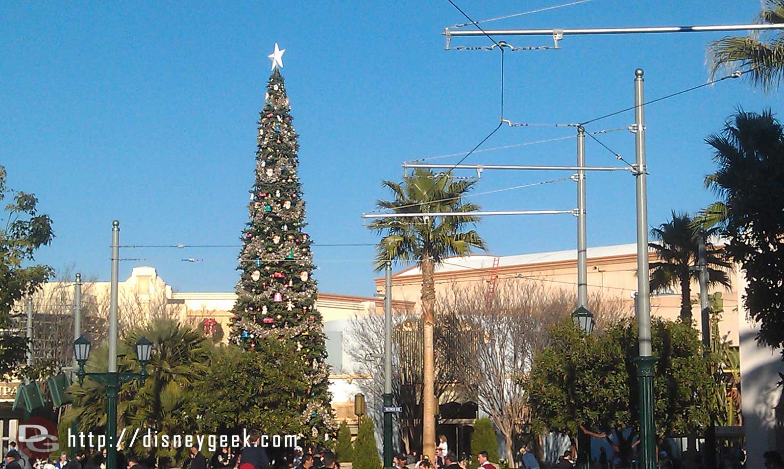 The Christmas tree on BuenaVistaStreet