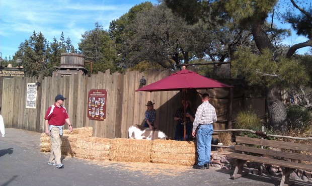 A Big Thunder Ranch resident in Frontierland, by the BTMRR entrance  tday.