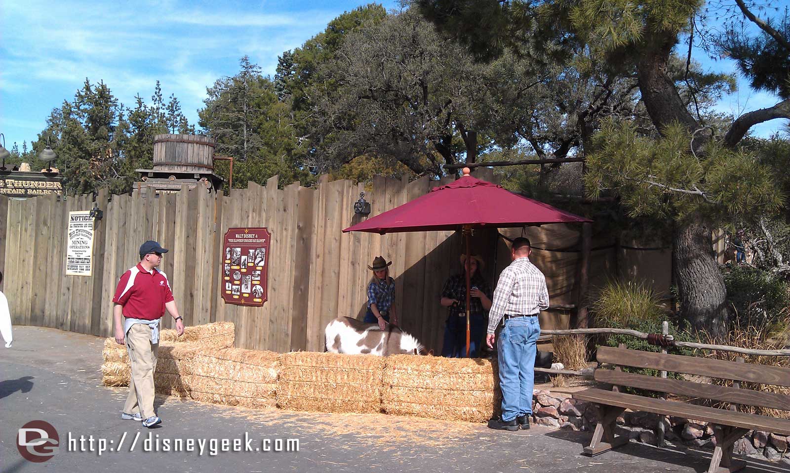 A Big Thunder Ranch resident in Frontierland by the BTMRR entrance tday.