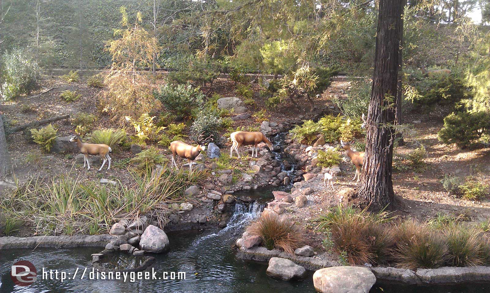 Some wild life along the Rivers of America as I sail by on the Columbia