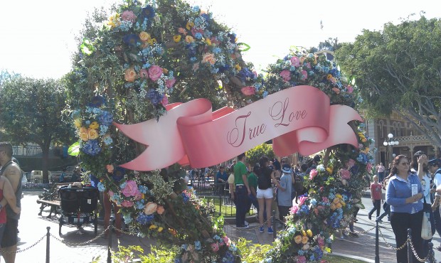 True Love Week is going on with photo ops on Main Street #LimitedTimeMagic