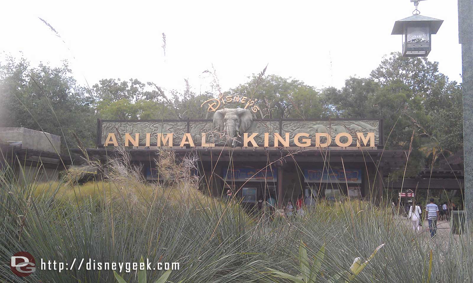Arriving at Disneys Animal Kingdom for the afternoon.