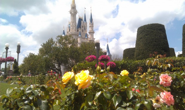 Cinderella Castle from the rose walk