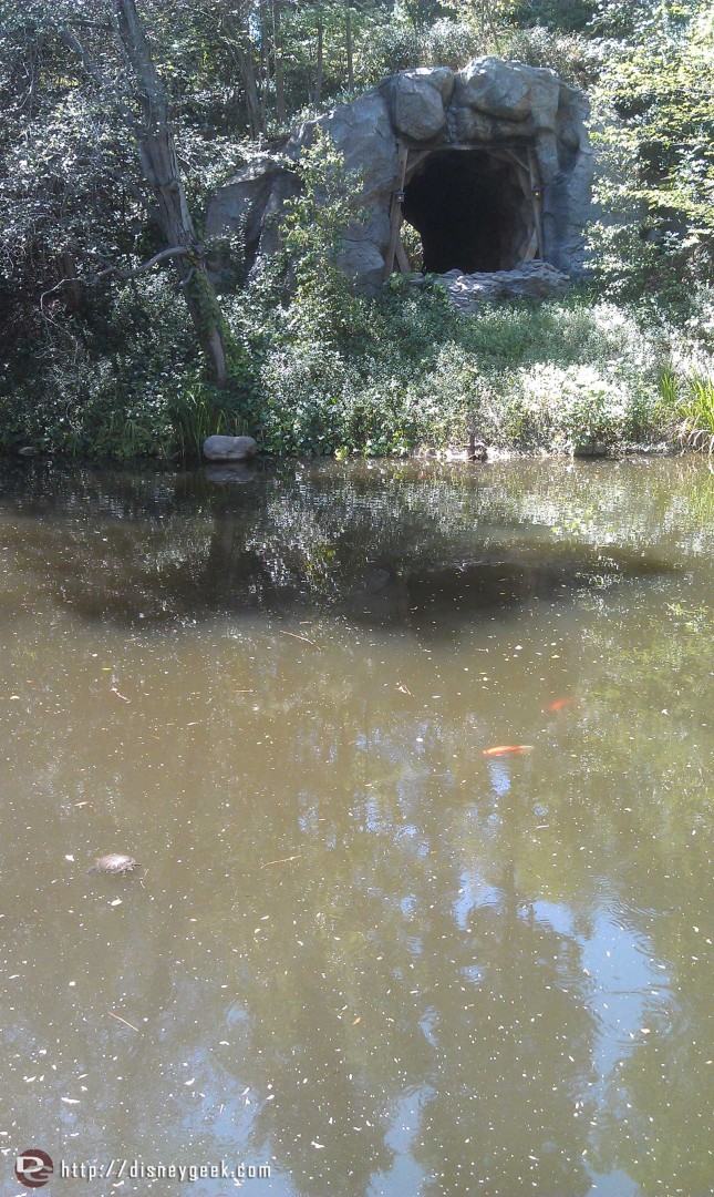 Continuing the wildlife theme a turtle and bright fish in the pond along the Big Thunder Trail