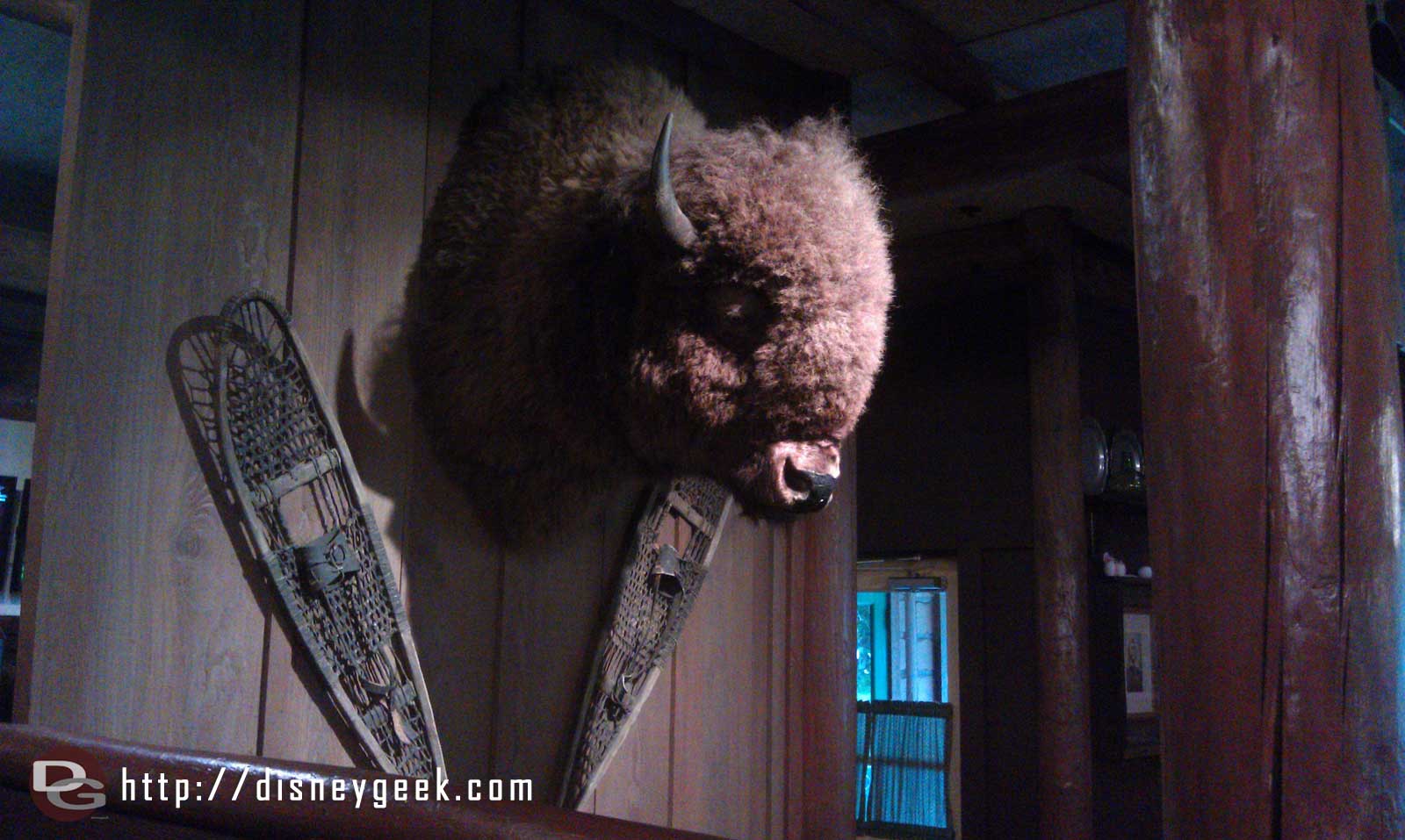 Dinner at Trails End this bison watched over us.