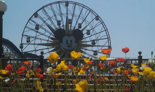Mickeys Fun Wheel on this nice spring afternoon