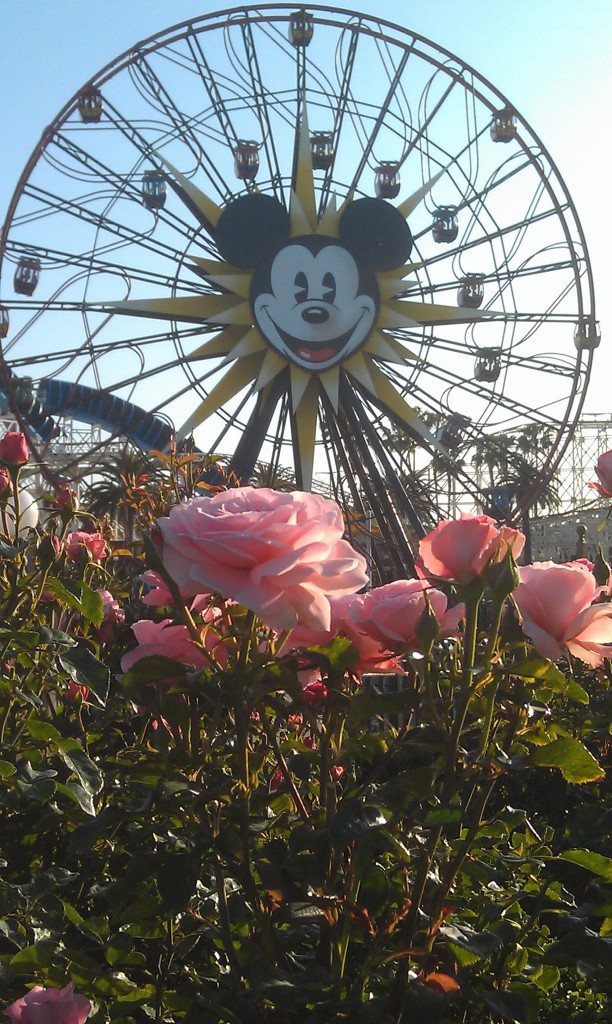 Mickeys Fun Wheel with flowers