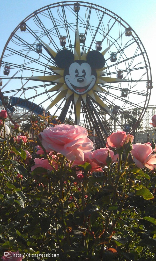 Mickeys Fun Wheel with flowers