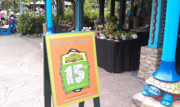 On Discovery Island there are vendor tabled/displays.  Here is one for Elemental Nusery #DAK15