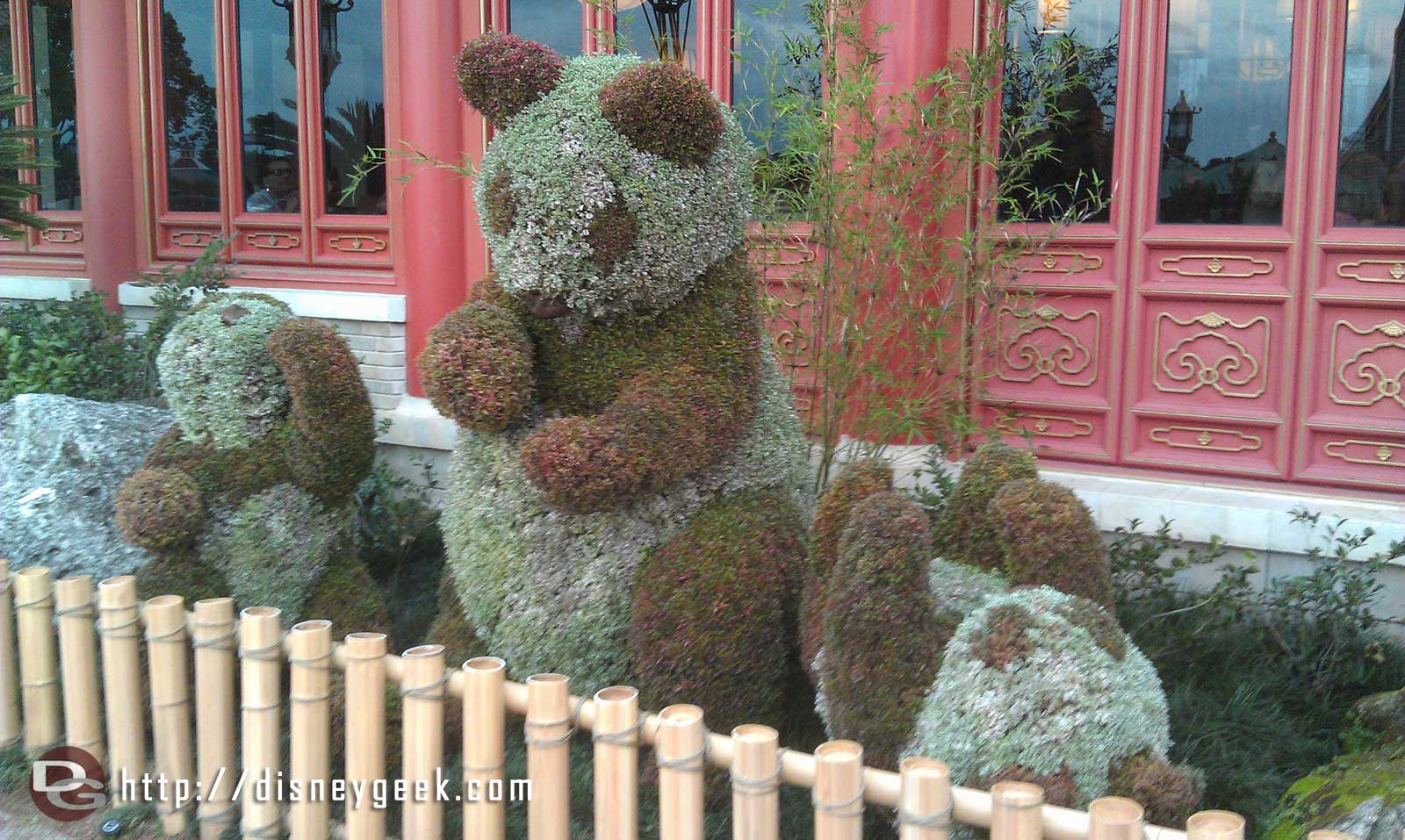 Pandas in front of China