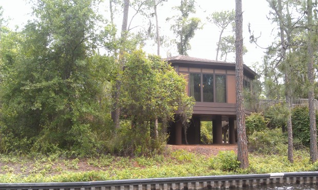 Passing by a tree house villa as we head up river