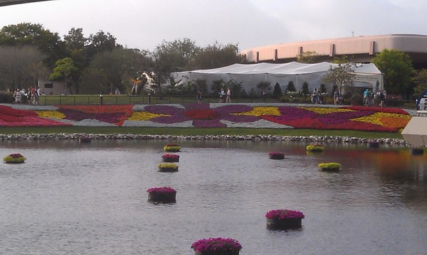 The Epcot flowerbeds from ground level