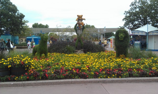 The Lion King topiaries