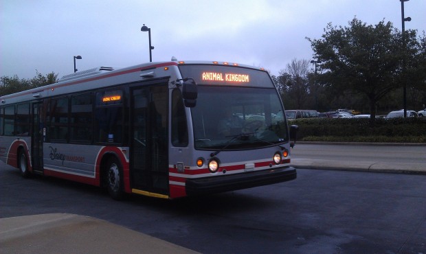 This morning we get a bus with the new paint scheme