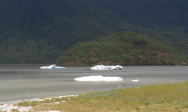 Ice floating near Mendenhall Glacier #Alaska