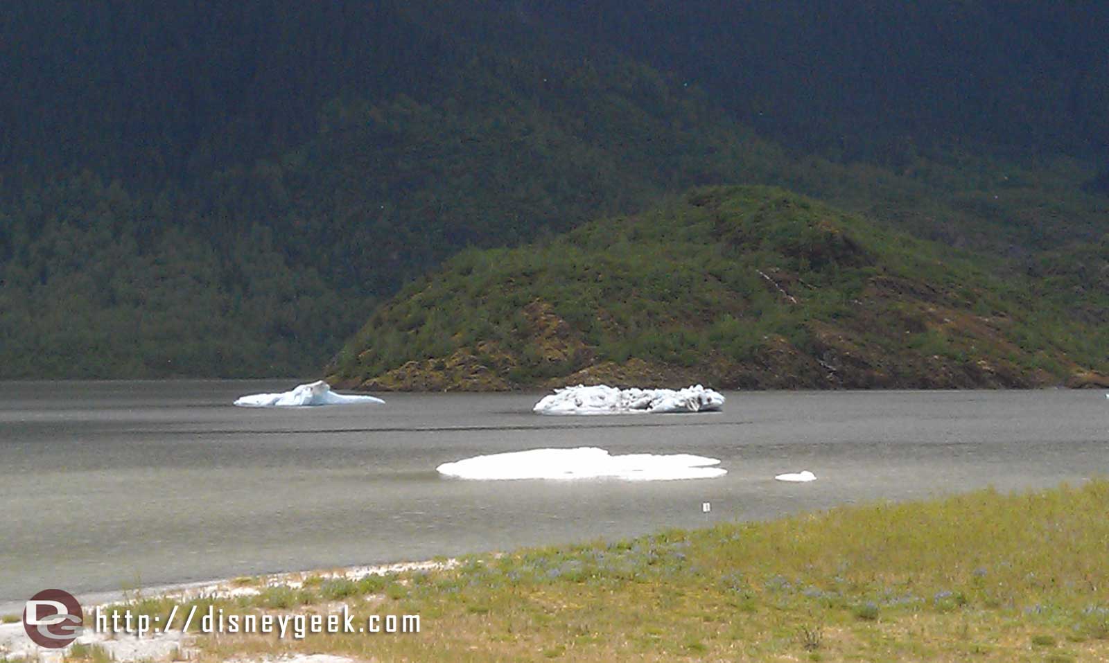 Ice floating near Mendenhall Glacier Alaska