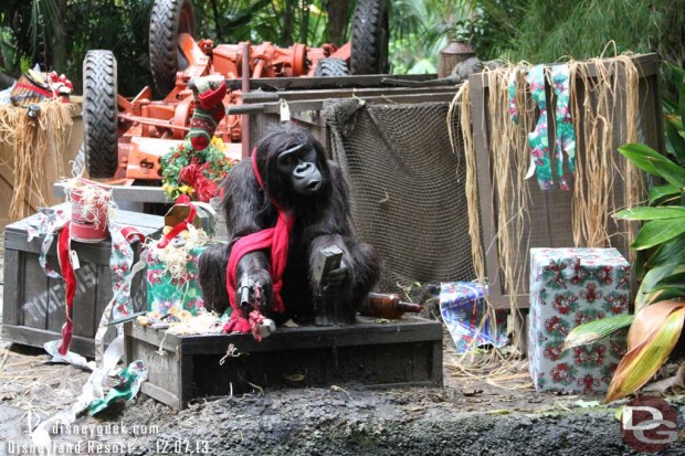 Jingle Cruise - Gorillas dressed up for the season