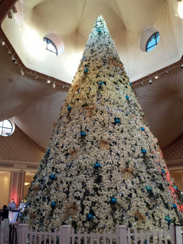 Dolphin Hotel Christmas Tree