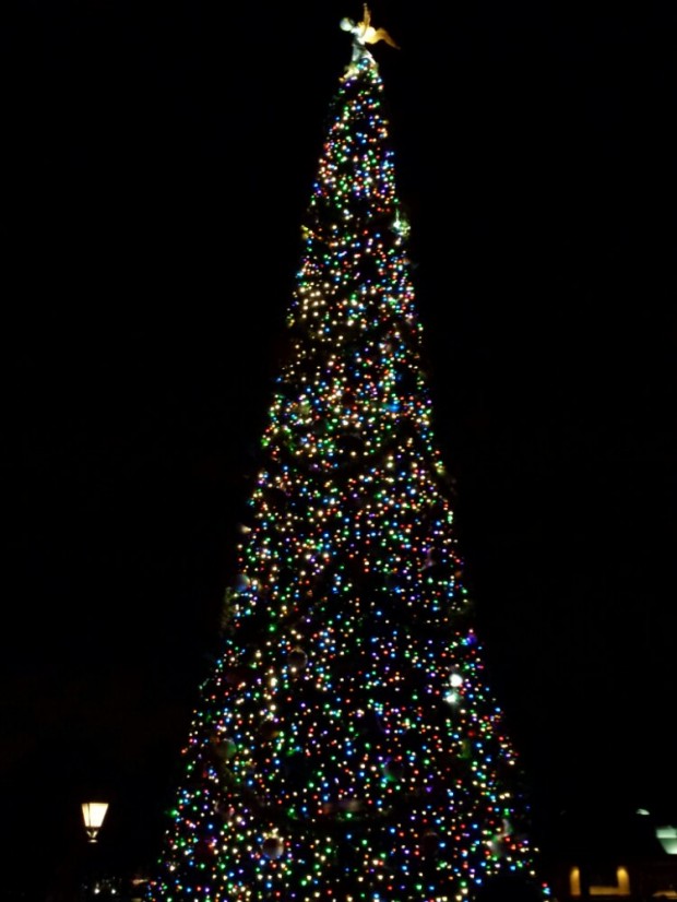 Epcot Christmas Tree